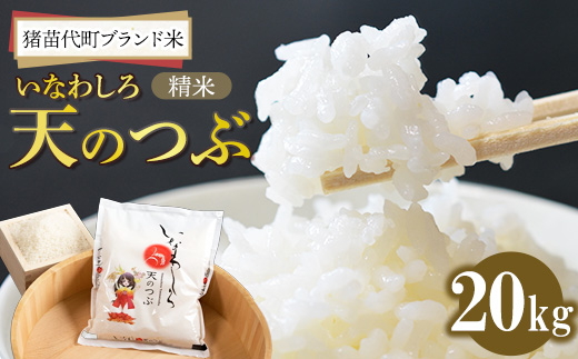 令和7年産 猪苗代町ブランド米 いなわしろ天のつぶ( 精米 ) 20kg ｜ 新米 お米 白米 福島 大粒 寿司 和食