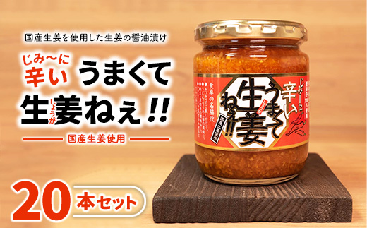じみーに辛いうまくて生姜ねぇ!!20本セット 【しょうが 国産 醤油漬け 唐辛子 ごはんのお供 お弁当 調味料 おつまみ 肴 薬味 隠し味 猪苗代町 福島県】