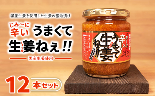 じみーに辛いうまくて生姜ねぇ!!12本セット 【しょうが 国産 醤油漬け 唐辛子 ごはんのお供 お弁当 調味料 おつまみ 肴 薬味 隠し味 猪苗代町 福島県】