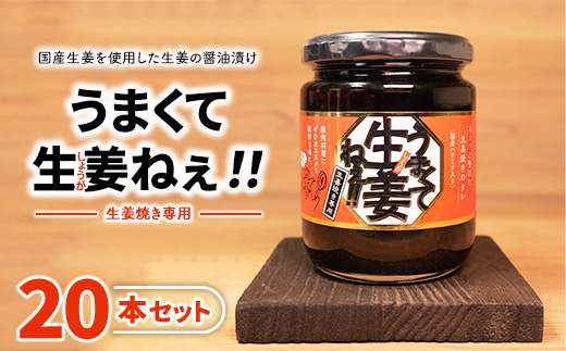 うまくて生姜ねぇ!!生姜焼き専用20本セット 【しょうが 国産 醤油漬け しょうが焼き タレ ごはんのお供 調味料 薬味 隠し味 猪苗代町 福島県】