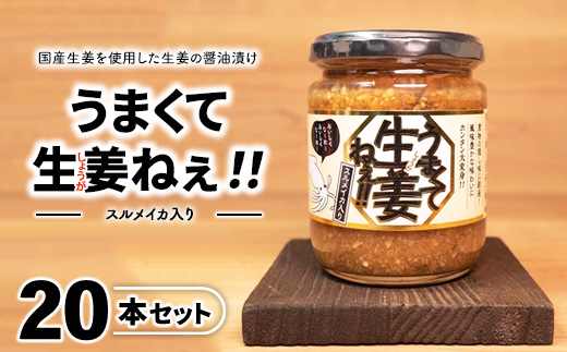 スルメイカ入りうまくて生姜ねぇ!!20本セット 【しょうが 国産 醤油漬け するめいか ごはんのお供 お弁当 調味料 おつまみ 肴 薬味 隠し味 猪苗代町 福島県】