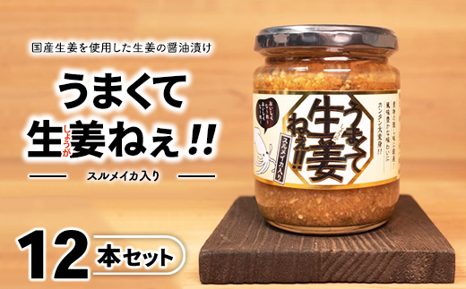 スルメイカ入りうまくて生姜ねぇ!!12本セット 【しょうが 国産 醤油漬け するめいか ごはんのお供 お弁当 調味料 おつまみ 肴 薬味 隠し味 猪苗代町 福島県】