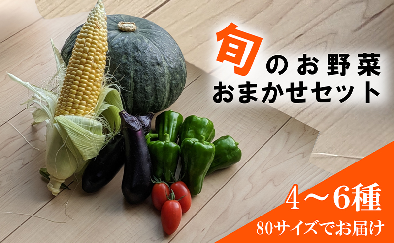 旬の野菜おまかせセット4～6種 80サイズ箱でお届け ｜ 猪苗代産 野菜 新鮮 野菜セット 農家直送 産地直送 詰め合わせ おまかせ ※2025年9月中旬～11月上旬頃に順次発送予定 ※沖縄・離島への配送不可
