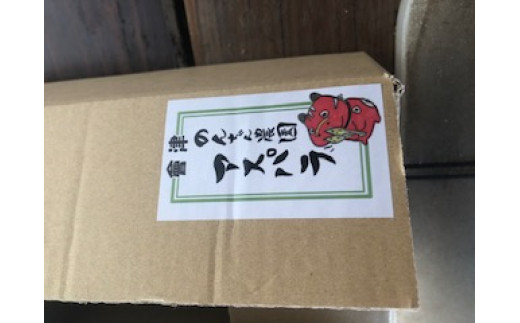 60-B アスパラガスLサイズ1kg（約30～35本）※2026年4月下旬～9月上旬頃に順次発送予定