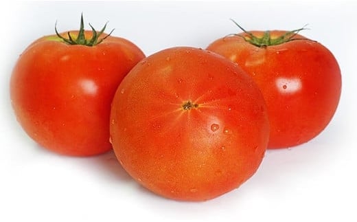 【月2回定期便】15-M　フローライシダ　会津薬師トマト　4kg×2箱（14・16・18・20ケ入　玉数お任せ）　※沖縄・離島への配送不可