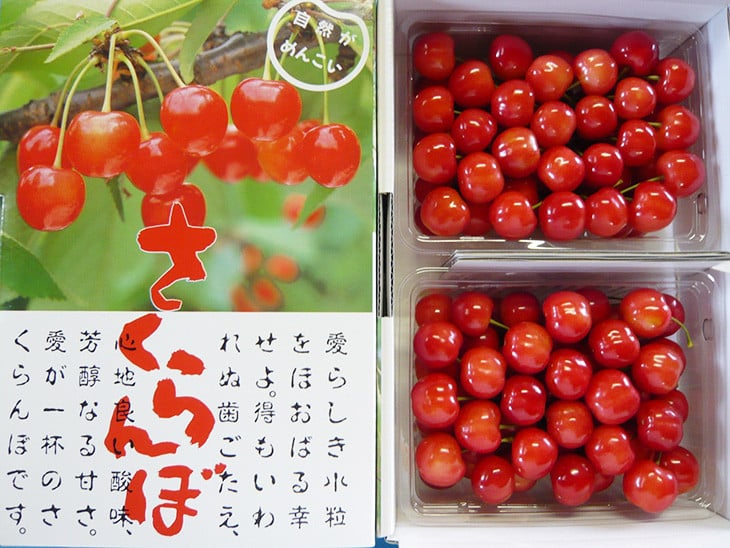 16-Q　相良農場　さくらんぼ（佐藤錦）1kg 化粧箱入り ｜福島県産 サクランボ　※2025年6月中旬～6月下旬頃発送予定