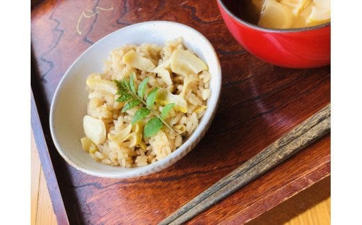 33-E 会津産 孟宗タケノコ 2.5kg（2～3本） 米ぬか付き（東北・関東・信越・東海・北陸・近畿のみ） ※2026年5月中旬頃より順次発送予定