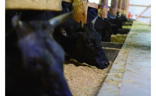 38-B　【奥会津牛】焼き肉セット　（ロース　カルビ）３５０ｇ