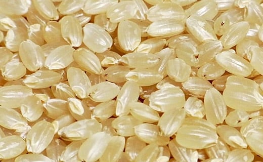 3-J　里山のつぶ玄米30kg 令和7年産 特別栽培米 ｜ 福島県会津坂下町オリジナルの玄米。米の一粒一粒が大きく、しっかりした食感、適度なもちもち感と甘みのあるお米です。 ※2025年9月下旬頃より順次発送予定