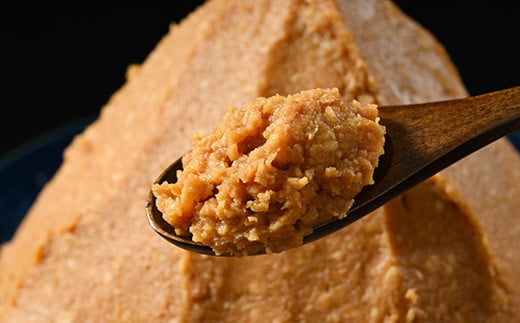 4-A　八二醸造　会津がんこ味噌