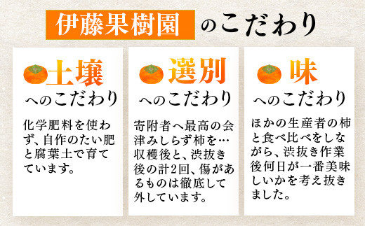 【予約開始】柿 会津みしらず柿 3Lサイズ 14個入り 約3kg フルーツ 果物 ギフト 渋柿 会津 伊藤果樹園 ※2025年11月頃より順次発送予定 23-B