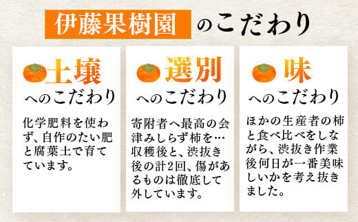 【予約開始】柿 会津みしらず柿 5Lサイズ 10個入り 約3kg フルーツ 果物 ギフト 渋柿 会津 伊藤果樹園 ※2025年11月頃より順次発送予定 23-C