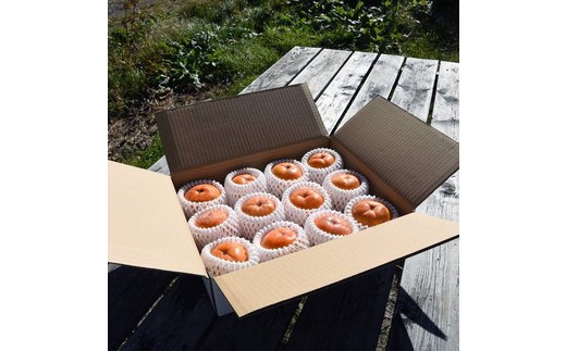 61-B しろべこ農園の会津みしらず柿 3Lサイズ12個入り ※2025年11月下旬～12月下旬頃に順次発送予定