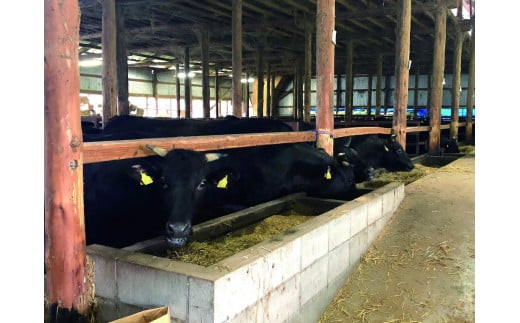 38-B　【奥会津牛】焼き肉セット　（ロース　カルビ）３５０ｇ