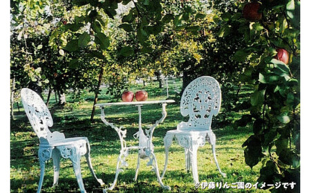 50-F 伊藤りんご園 サンふじ 5kg｜りんご リンゴ 林檎 果物 くだもの フルーツ 福島県 会津坂下町 ※2025年11月上旬頃より順次発送予定