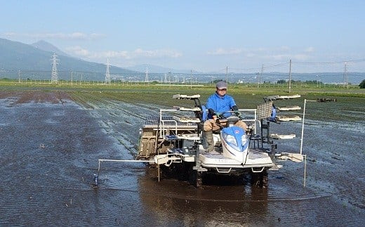 3-N　【6ヶ月定期便】コシヒカリ 白米 会津 5kg 6回 計30kg 令和7年産米 ｜ 減農薬 特別栽培米 米 お米 藤川農産 ※2025年10月上旬頃より順次発送予定