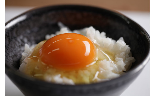 33-K　【12か月定期便】平飼い会津地鶏の卵 3kg（50～60個） ※沖縄・離島への配送不可