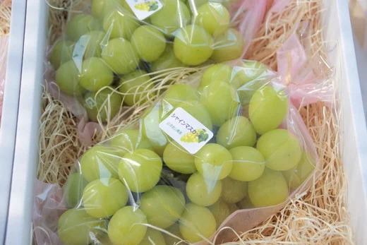 【予約開始】 完熟シャインマスカット 650 ~ 750g 2房 （会津里山農園）47-B ｜ 福島 ぶどう 皮ごと 種なし シャインマスカット 先行予約 ※2025年10月上旬頃～中旬頃に順次発送
