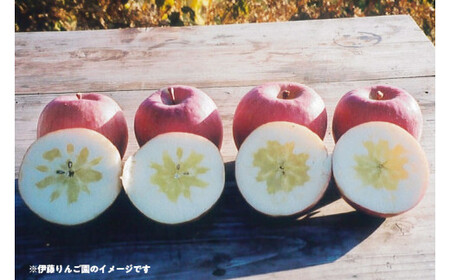 50-E 伊藤りんご園 シナノスイート 5kg｜りんご リンゴ 林檎 果物 くだもの フルーツ 福島県 会津坂下町 ※2025年10月上旬頃より順次発送予定