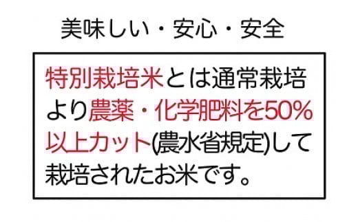 3-L　コシヒカリ 白米 会津 5kg 1袋 令和7年産米 ｜ 減農薬 特別栽培米 米 お米 藤川農産 ※2025年10月上旬頃より順次発送予定
