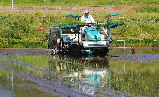 3-J　里山のつぶ玄米30kg 令和7年産 特別栽培米 ｜ 福島県会津坂下町オリジナルの玄米。米の一粒一粒が大きく、しっかりした食感、適度なもちもち感と甘みのあるお米です。 ※2025年9月下旬頃より順次発送予定