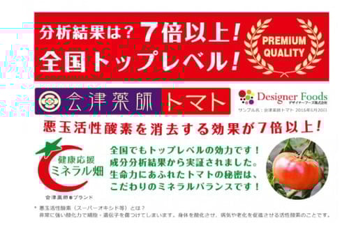 15-L　フローライシダ　会津薬師トマト　4kg×2箱（14・16・18・20ケ入　玉数お任せ）　※沖縄・離島への配送不可