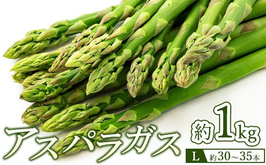 60-B アスパラガスLサイズ1kg（約30～35本）※2026年4月下旬～9月上旬頃に順次発送予定