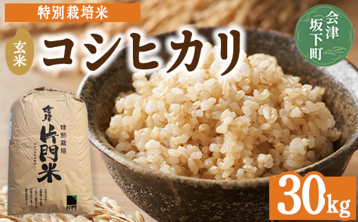 3-D　コシヒカリ 玄米 会津 30kg 令和7年産 ｜ 特別栽培米 減農薬 米 お米 藤川農産