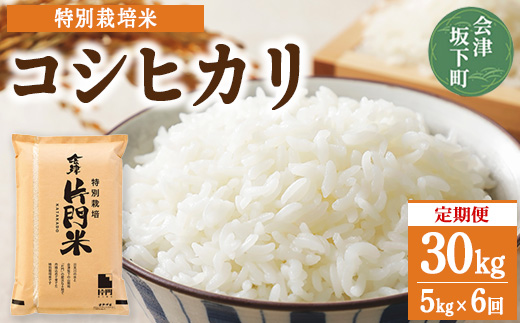 3-N　【6ヶ月定期便】コシヒカリ 白米 会津 5kg 6回 計30kg 令和7年産米 ｜ 減農薬 特別栽培米 米 お米 藤川農産 ※2025年10月上旬頃より順次発送予定
