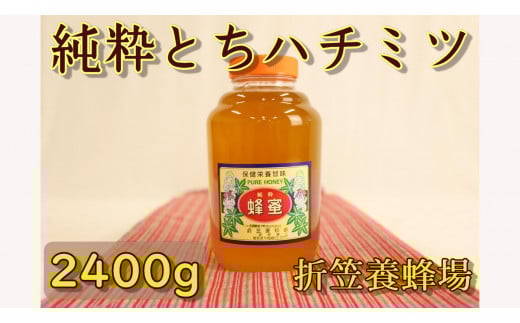 6-B　折笠養蜂場　とちハチミツ　2400g