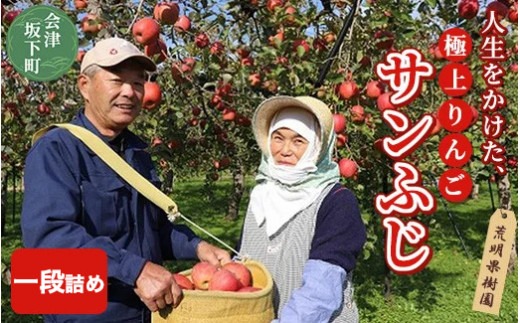 17-A　[予約開始！]　荒明果樹園　人生をかけた、極上りんご（サンふじ）5kg（一段詰め）｜ りんご リンゴ 林檎 果物 くだもの フルーツ 福島県 会津坂下町 ※2025年11月末頃より順次発送予定