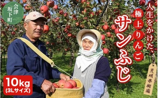  17-D　[予約開始！]　荒明果樹園　人生をかけた、極上りんご（サンふじ）10kg（3Lサイズ）｜ りんご リンゴ 林檎 果物 くだもの フルーツ 福島県 会津坂下町 ※2025年11月末頃から順次発送予定