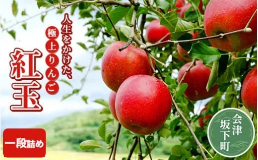 17-F　[予約開始！]　荒明果樹園　人生をかけた、極上りんご（紅玉）5kg（一段詰め）｜ りんご リンゴ 林檎 果物 くだもの フルーツ 福島県 会津坂下町 ※2025年10月上旬頃より順次発送予定