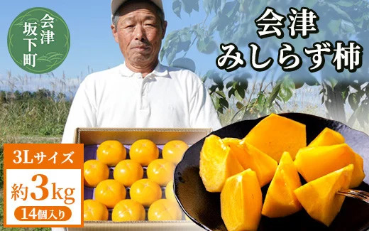 【予約開始】柿 会津みしらず柿 3Lサイズ 14個入り 約3kg フルーツ 果物 ギフト 渋柿 会津 伊藤果樹園 ※2025年11月頃より順次発送予定 23-B