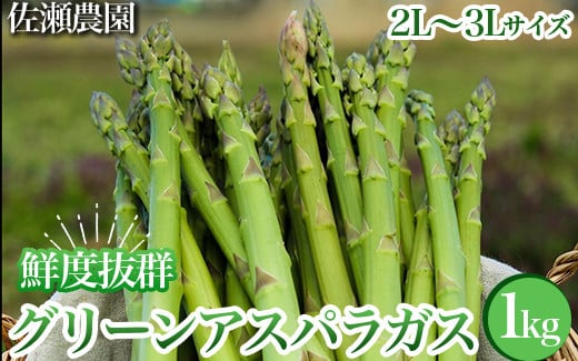 26-B 特選！アスパラガス1kg（2L～3L)サイズ ※2026年4月中旬～5月中旬頃に順次発送予定