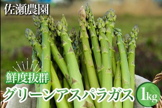 26-A 鮮度抜群！佐瀬農園のグリーンアスパラガス ※2026年4月中旬～9月上旬頃に順次発送予定