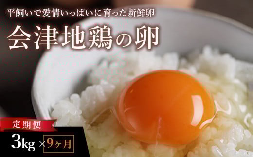 33-O　【9か月定期便】平飼い会津地鶏の卵 3kg（50～60個） ※沖縄・離島への配送不可