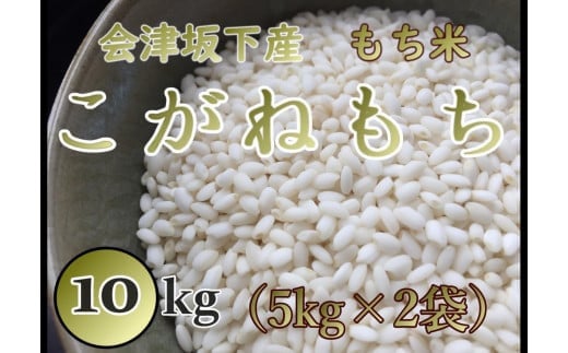 36-C　T.Farming　こがねもち（令和7年産米）会津坂下産もち米　10kg（5kg×2袋）｜ 福島県 会津坂下町発の「こがねもち」は、粘りとコシのある国産の単一米です。お赤飯やお餅、おこわに最適です。　※沖縄・離島への配送不可