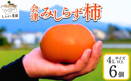 61-A しろべこ農園の会津みしらず柿 4Lサイズ以上6個入り ※2025年11月下旬～12月下旬頃に順次発送予定