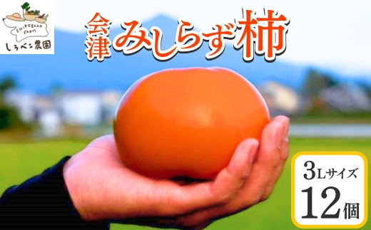 61-B しろべこ農園の会津みしらず柿 3Lサイズ12個入り ※2025年11月下旬～12月下旬頃に順次発送予定