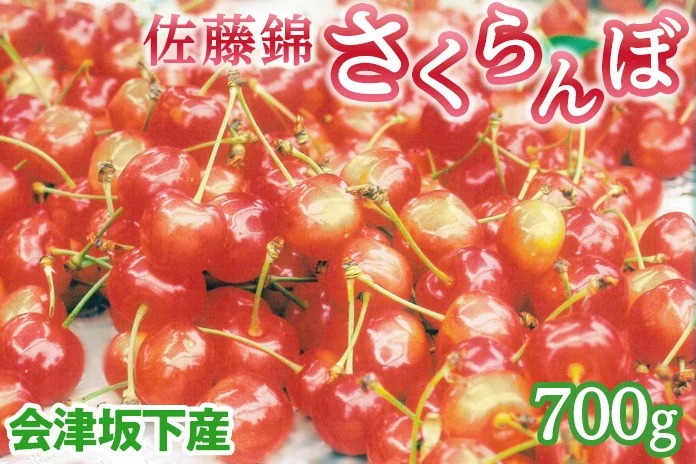 45-A 会津坂下産 さくらんぼ（佐藤錦）｜ 700g 3Lサイズ 冷蔵便 サクランボ 佐藤農園 化粧箱　※2025年6月下旬頃～7月上旬頃に順次発送