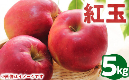 50-B 伊藤りんご園 紅玉 5kg｜りんご リンゴ 林檎 果物 くだもの フルーツ 福島県 会津坂下町 20～23玉 蜜 ※2025年10月上旬頃より順次発送予定