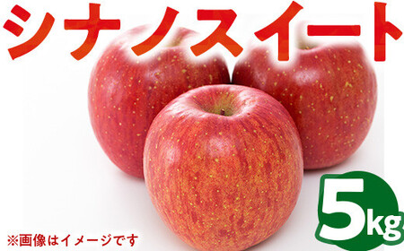 50-E 伊藤りんご園 シナノスイート 5kg｜りんご リンゴ 林檎 果物 くだもの フルーツ 福島県 会津坂下町 ※2025年10月上旬頃より順次発送予定