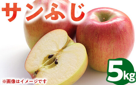 50-F 伊藤りんご園 サンふじ 5kg｜りんご リンゴ 林檎 果物 くだもの フルーツ 福島県 会津坂下町 ※2025年11月上旬頃より順次発送予定
