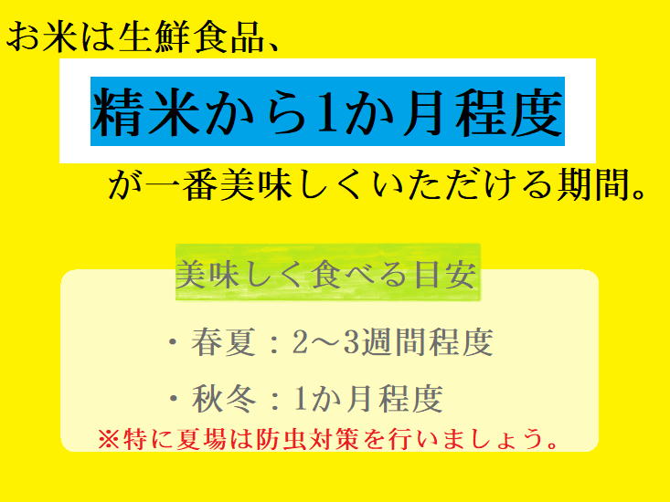 令和7年産湯川村産コシヒカリ　玄米30kg(10㎏×3回)【全3回定期便　R8.2月・4月・６月発送】