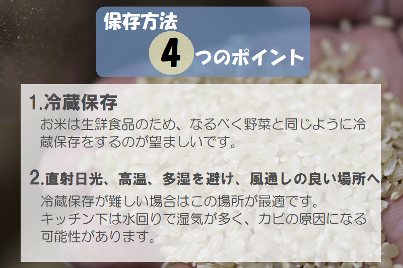 令和7年産湯川村産コシヒカリ　玄米30kg(10㎏×3回)【全3回定期便　R8.2月・4月・６月発送】