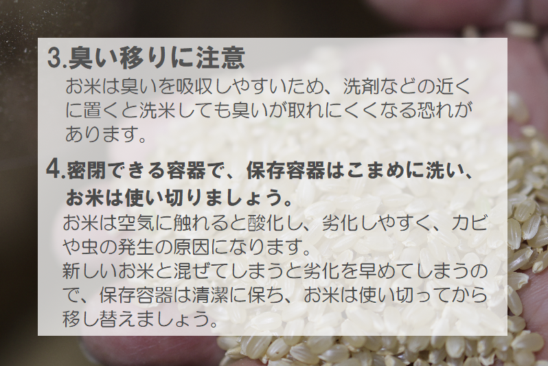 令和7年産湯川村産コシヒカリ　玄米30kg(10㎏×3回)【全3回定期便　R8.2月・4月・６月発送】