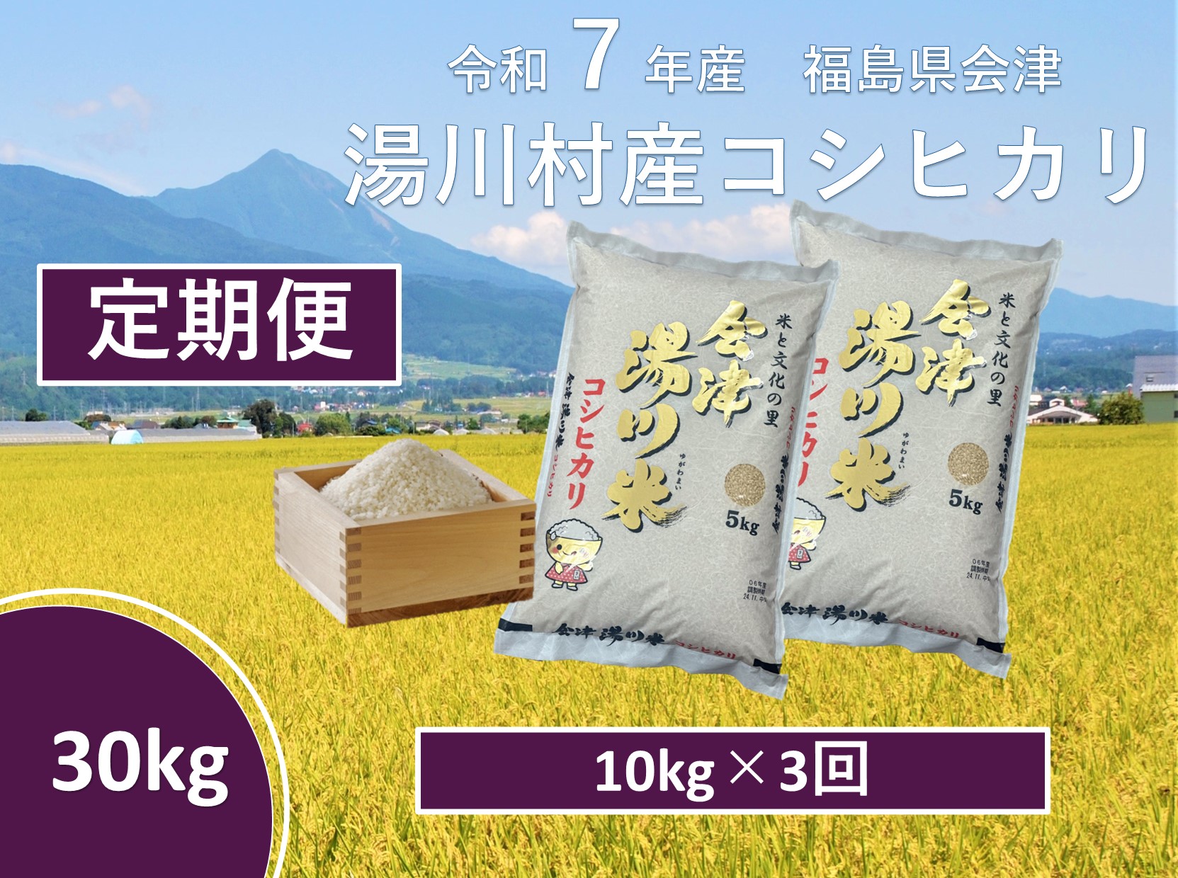 令和7年産湯川村産コシヒカリ　玄米30kg(10㎏×3回)【全3回定期便　R8.2月・4月・６月発送】