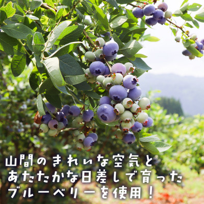 【山の恵みぎゅっと!】手摘みブルーベリージュース　720ml 【3本セット】