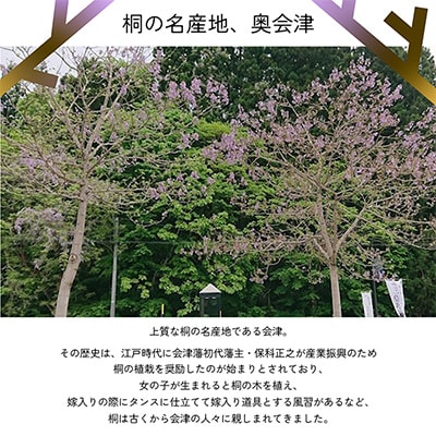 日本一軽い木材【桐】を使用!木のおもちゃ「会津桐つみき」(3段・39ピース・収納BOX付)